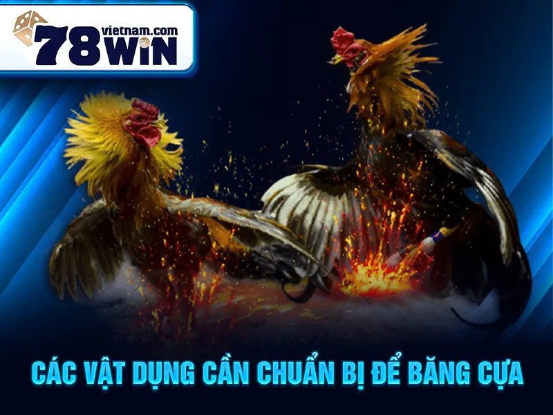 Các vật dụng cần chuẩn bị để băng cựa